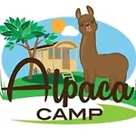 Alpacacamp *