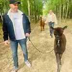 Кемпинг Alpacacamp