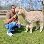 Campingplads Alpacacamp *