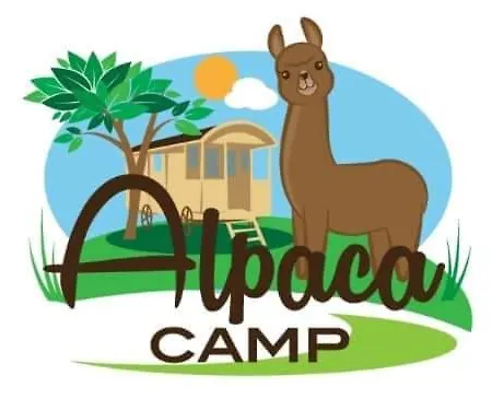 Alpacacamp *