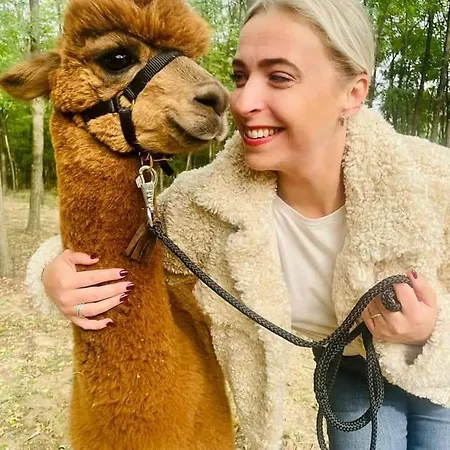 Alpacacamp * Helvecia