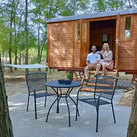 Alpacacamp Κάμπινγκ Helvecia