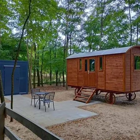 Alpacacamp Κάμπινγκ