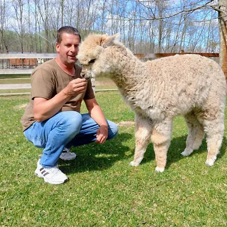 Κάμπινγκ Alpacacamp *