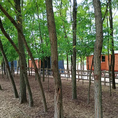 Alpacacamp * Helvecia