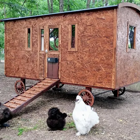 Alpacacamp Campingplads