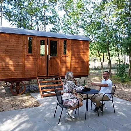 Alpacacamp *
