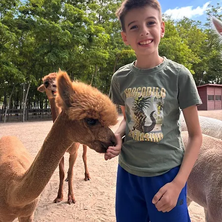 Alpacacamp * Helvecia