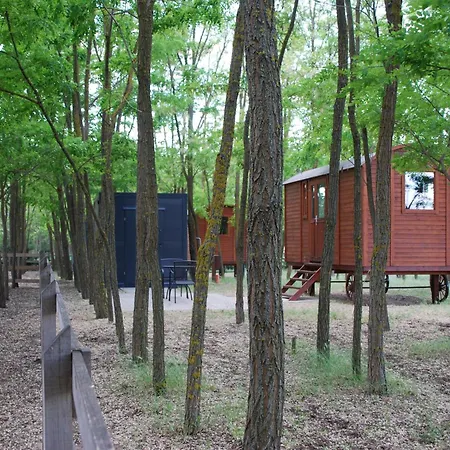 Alpacacamp Kemping