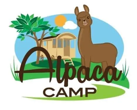 Alpacacamp *