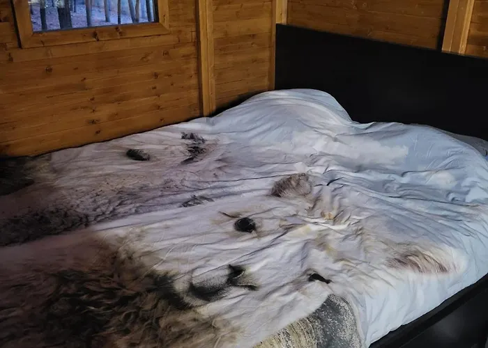 Кемпинг Alpacacamp