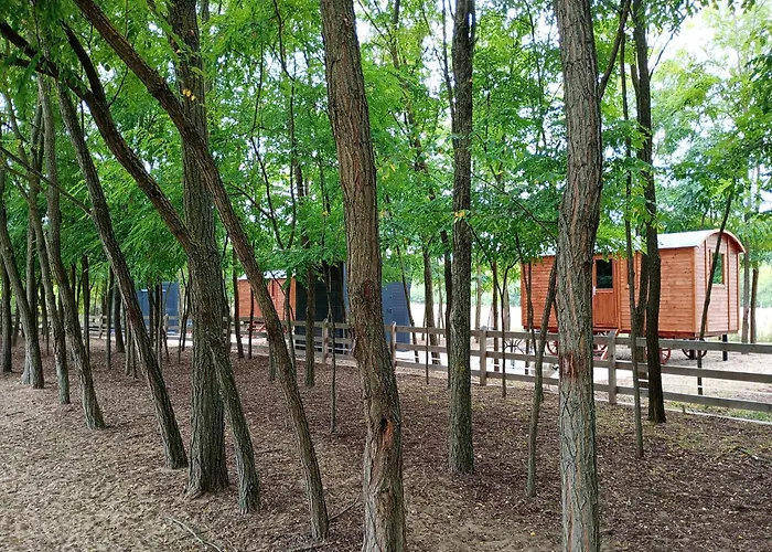 Alpacacamp * Helvecia