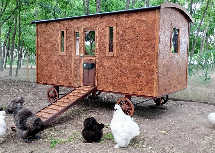 Alpacacamp Кемпинг